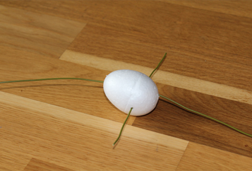 stage 5 - body